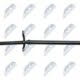 Kardanový hřídel, kardanová tyč AUDI A8 10-18